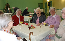 Senior Residents Fellowship